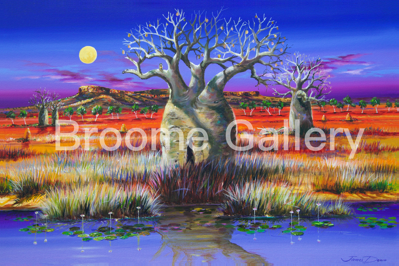 Big Moon Cockburn Ranges – Broome Gallery