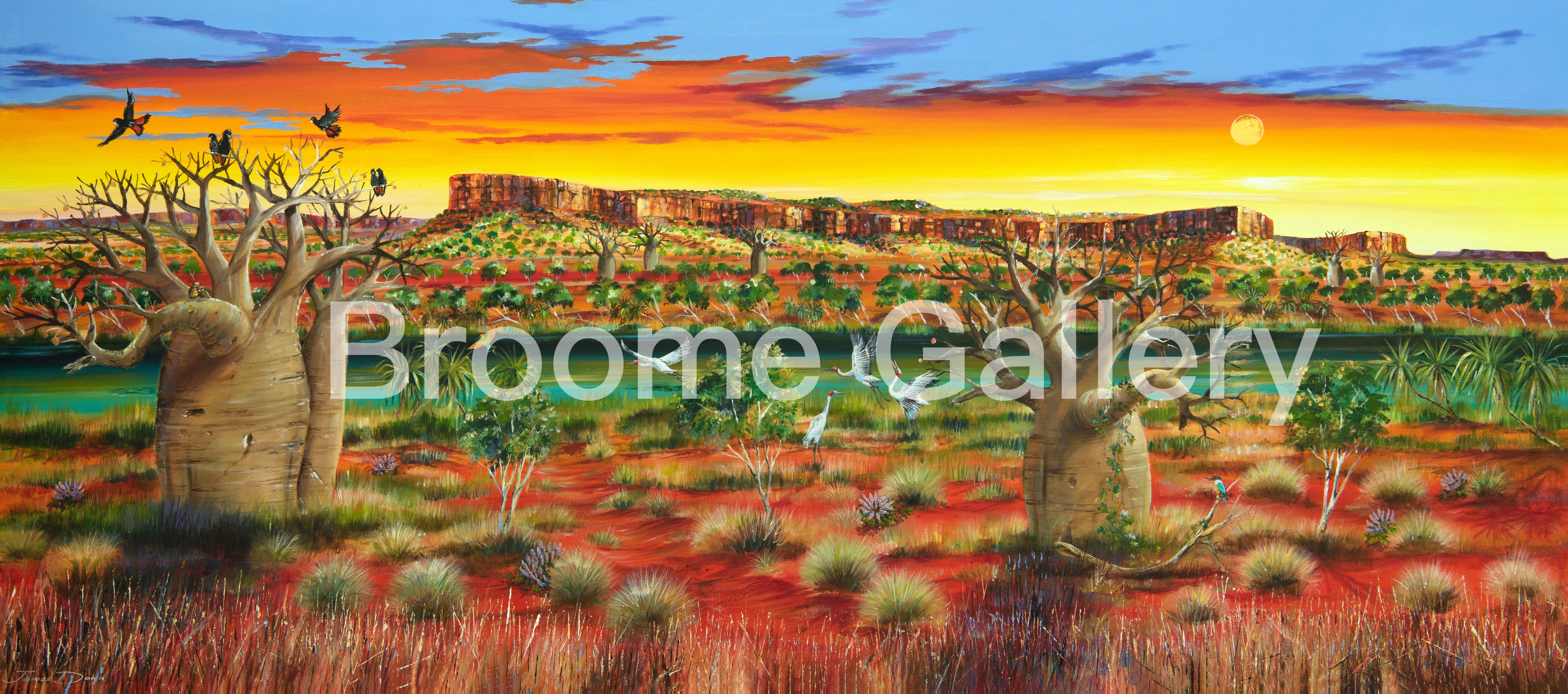 Brolgas Dancing Cockburn Ranges – Broome Gallery