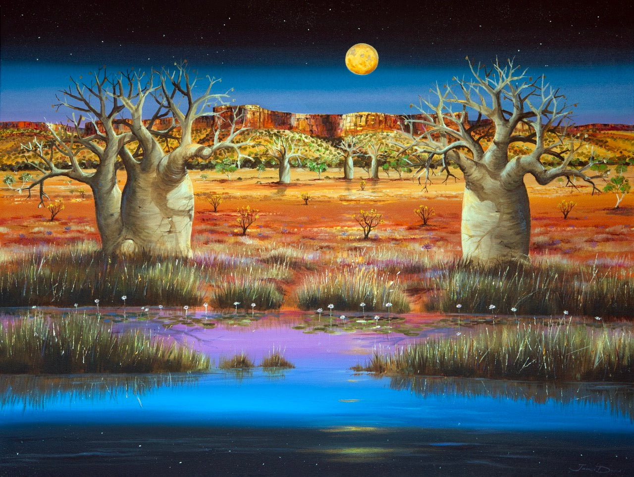 Kimberley by Moonlight