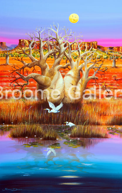 Boab by Pentecost River