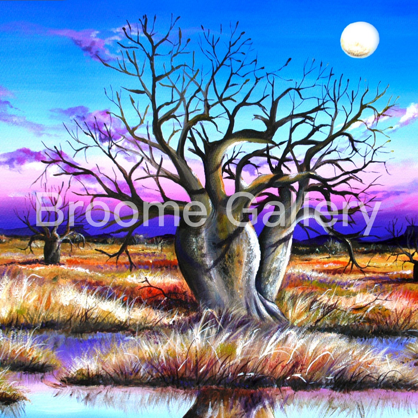 Colours of the Kimberley