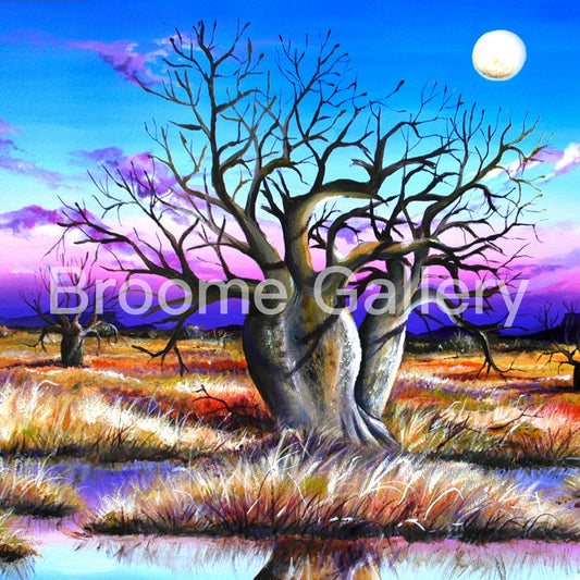 Colours of the Kimberley