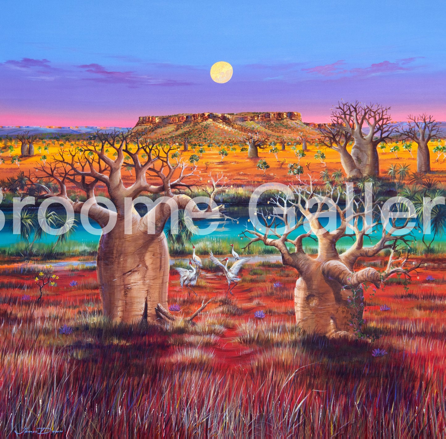 Dancing Brolgas With Boabs