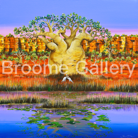 Slice of the Kimberley