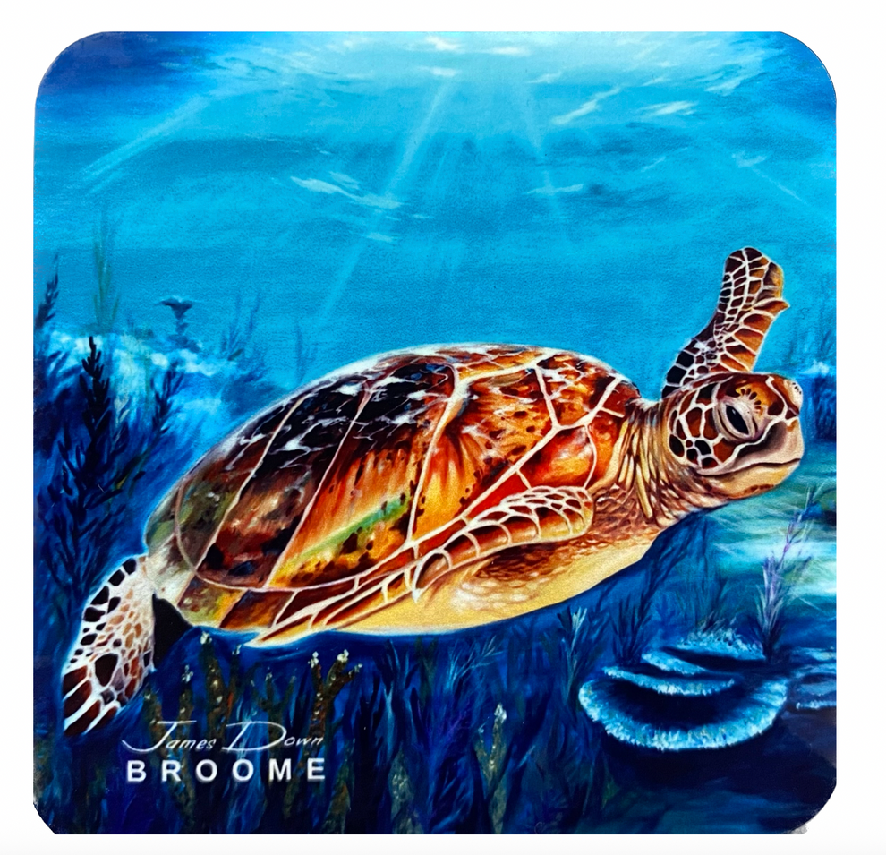 Turtle – Broome Gallery