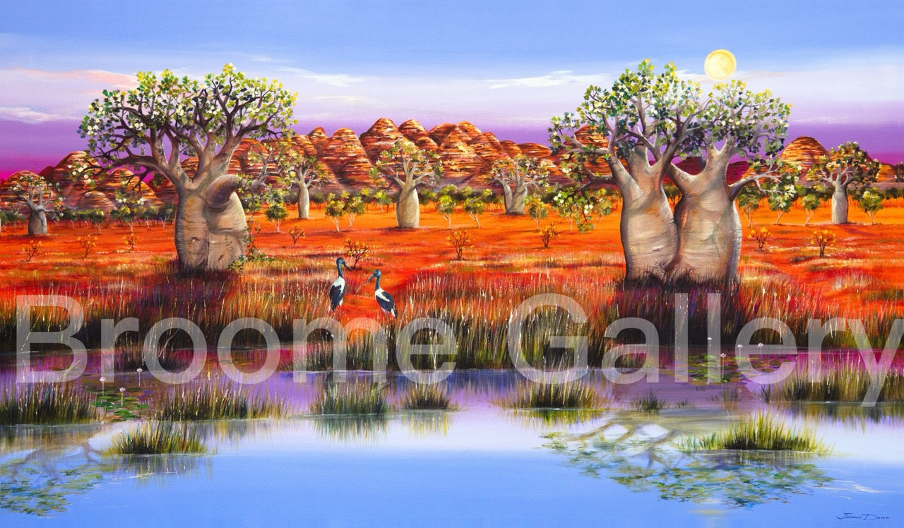 Jabirus Amongst the Boabs